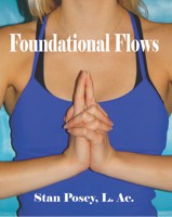 Foundational Flows book cover